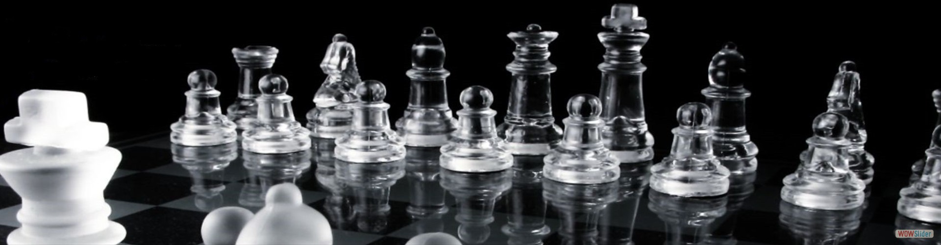 banner_1